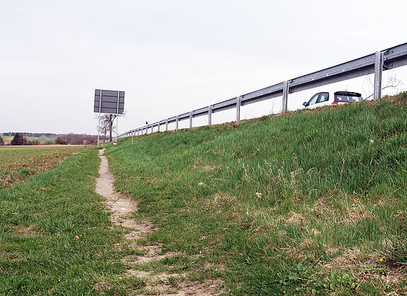 Trampelpfad neben einer Staatsstraße